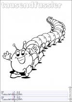 coloriage-mille-pattes-1