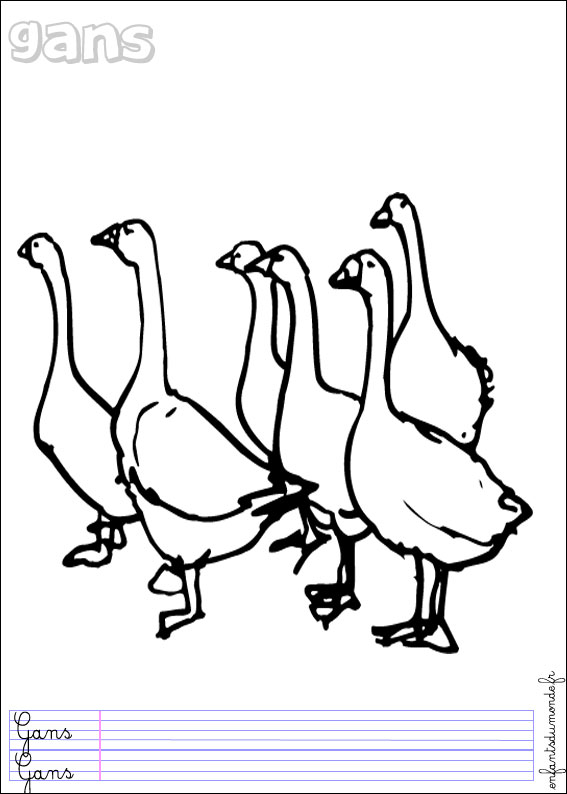 coloriage oie 3