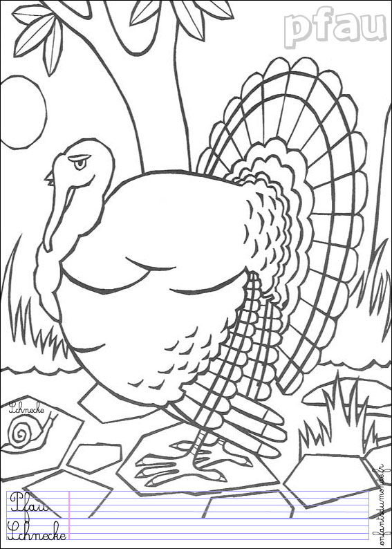 coloriage paon 1
