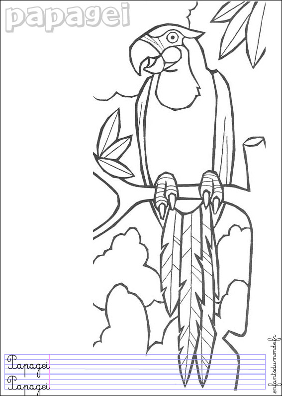 coloriage perroquet 1