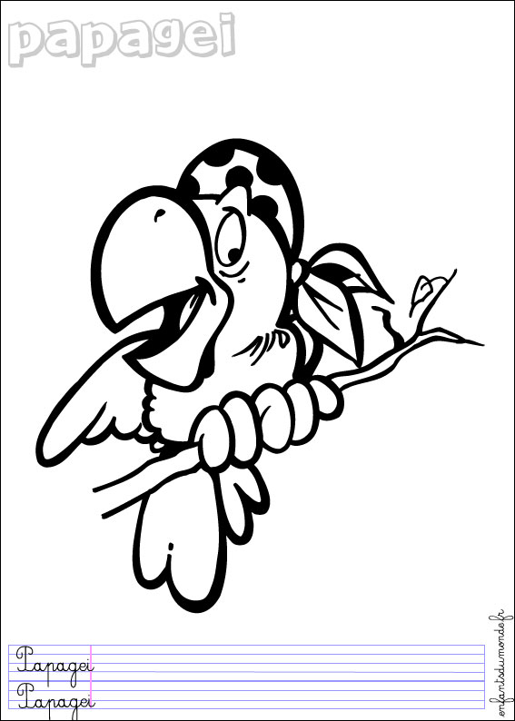 coloriage perroquet 2