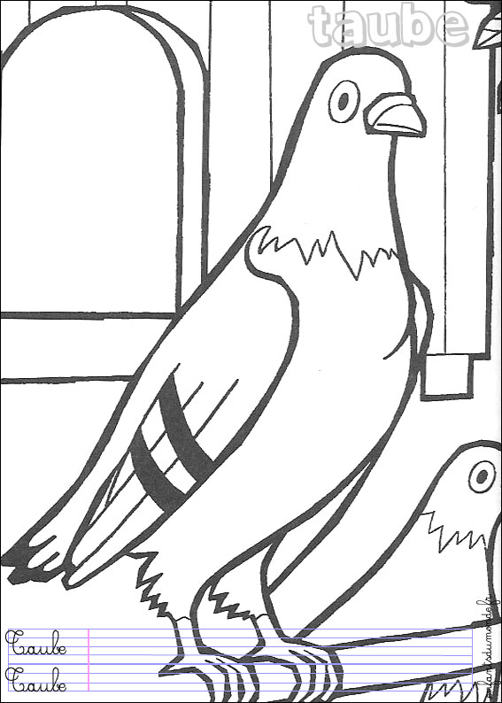 coloriage pigeon 1