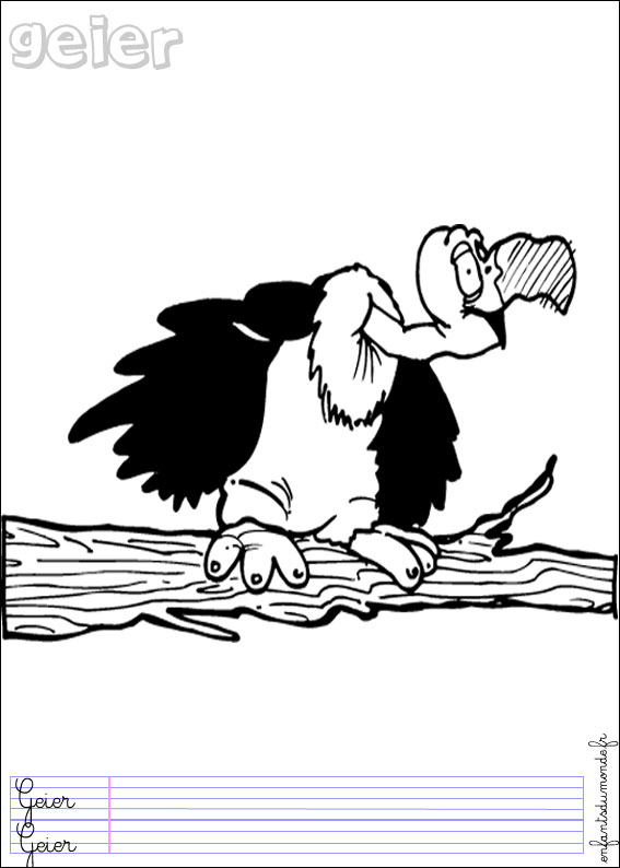coloriage vautour 1