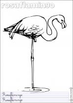 coloriage-flamant-rose-1
