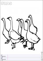 coloriage-oie-3