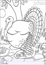 coloriage-paon-1