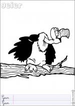 coloriage-vautour-1