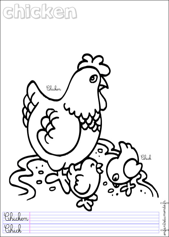 coloriage poule 2 Coloriages Animaux de la ferme en 99 coloriage poule 2