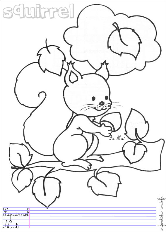 coloriage ecureuil 2 Coloriages Animaux de la forêt en 40 coloriage ecureuil 2