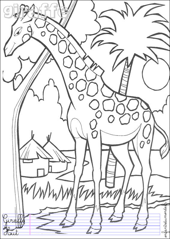 coloriage girafe 1 Coloriages Animaux de la jungle en 113 coloriage girafe 1