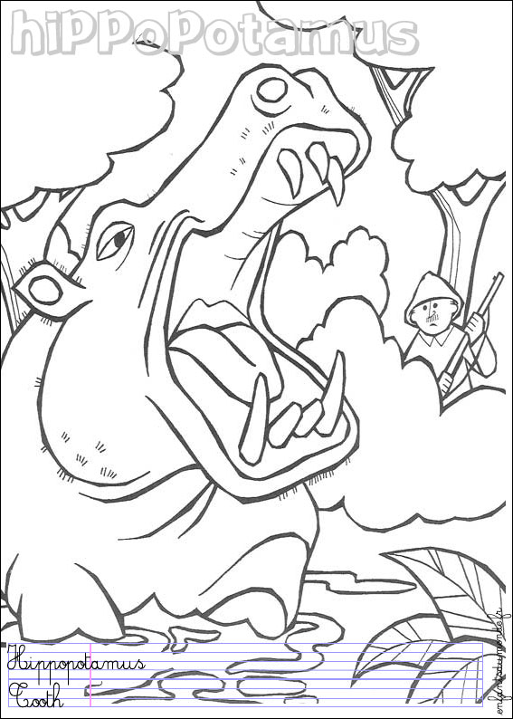 coloriage hippopotame 1 Coloriages Animaux de la 115 coloriage hippopotame 1