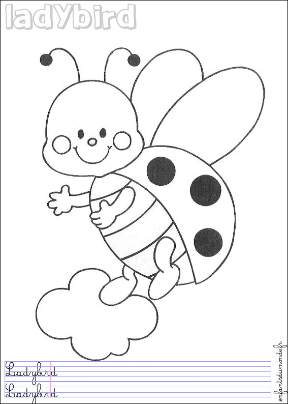 coloriage coccinelle
