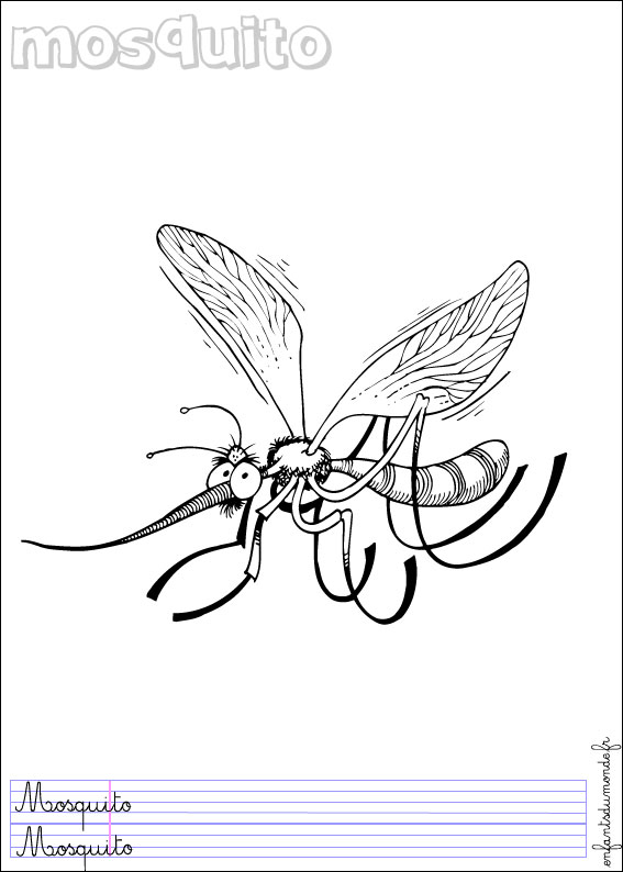 coloriage moustique