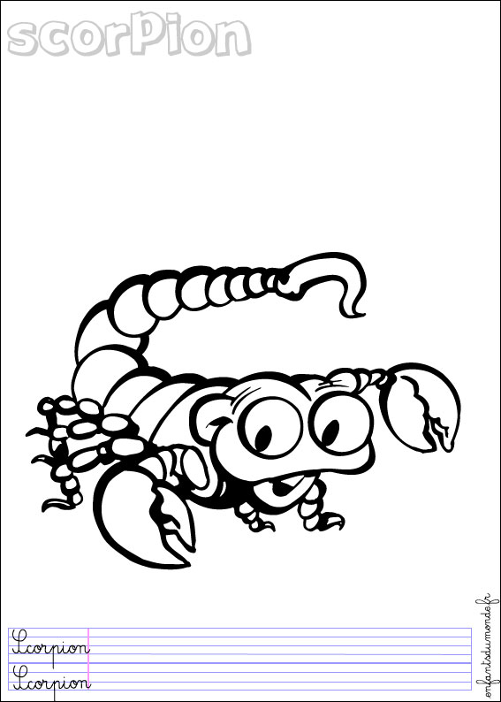 coloriage scorpion