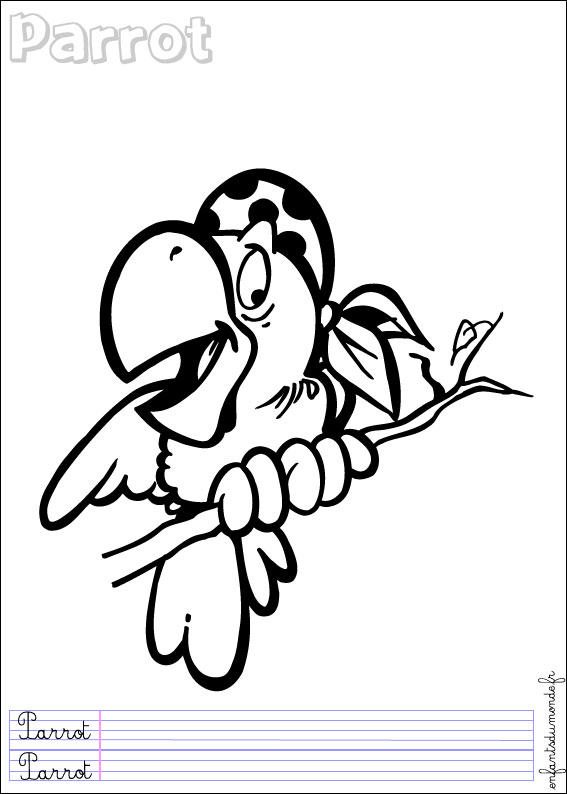 coloriage perroquet 2