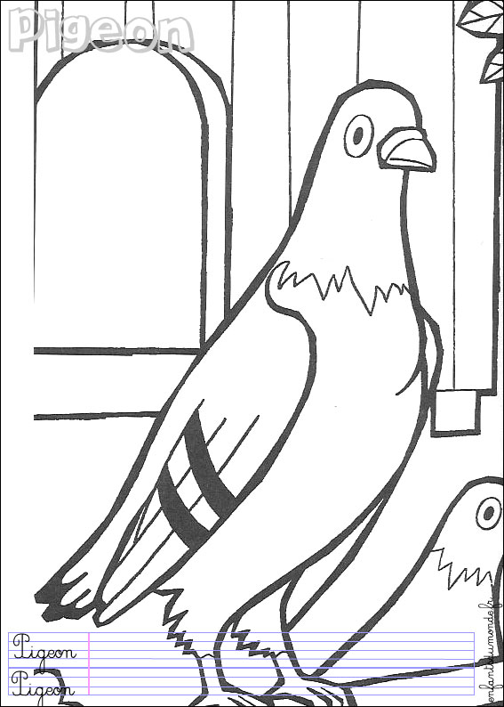 coloriage pigeon 1