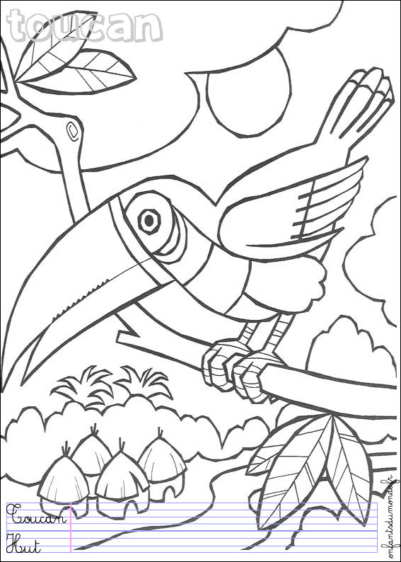 coloriage toucan 1