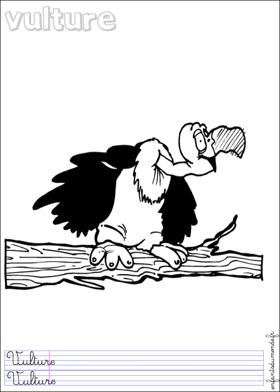 coloriage vautour 1