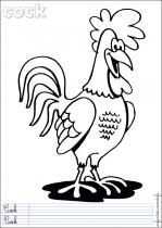 coloriage-coq-1