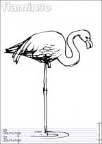 coloriage-flamand-rose-1