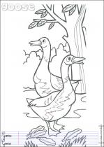 coloriage-oie-1