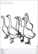 coloriage-oie-3