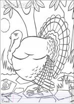 coloriage-paon-1