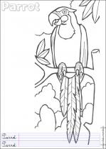 coloriage-perroquet-1