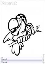 coloriage-perroquet-2