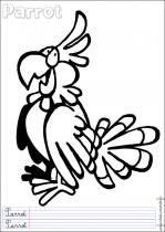 coloriage-perroquet-3