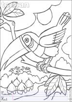 coloriage-toucan-1
