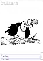 coloriage-vautour-1