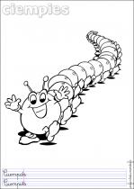 coloriage-mille-pattes-1