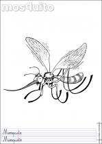 coloriage-moustique-1