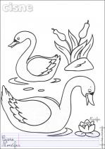 coloriage-cygne-1