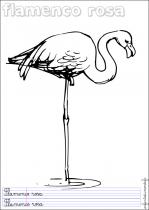 coloriage-flamand-rose-1