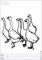 coloriage-oie-3