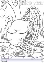 coloriage-paon-1