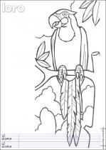 coloriage-perroquet-1