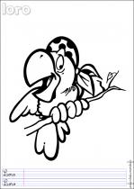 coloriage-perroquet-2