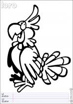 coloriage-perroquet-3
