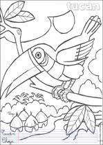 coloriage-toucan-1