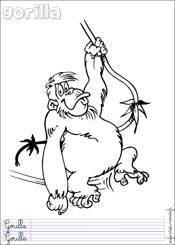 coloriage singe 2 Coloriages Animaux de la jungle en 64 coloriage singe 2