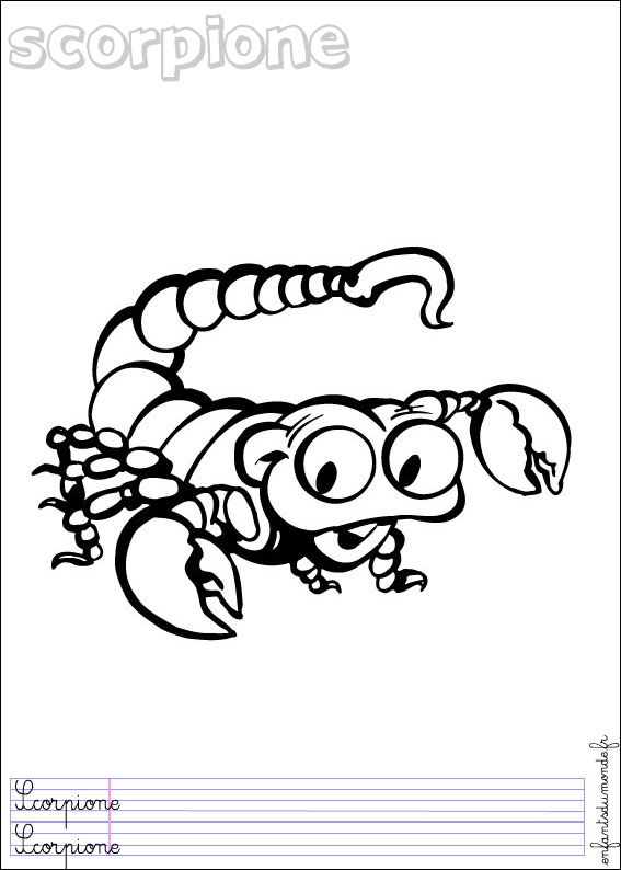 coloriage scorpion 1