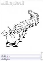 coloriage-mille-pattes-1