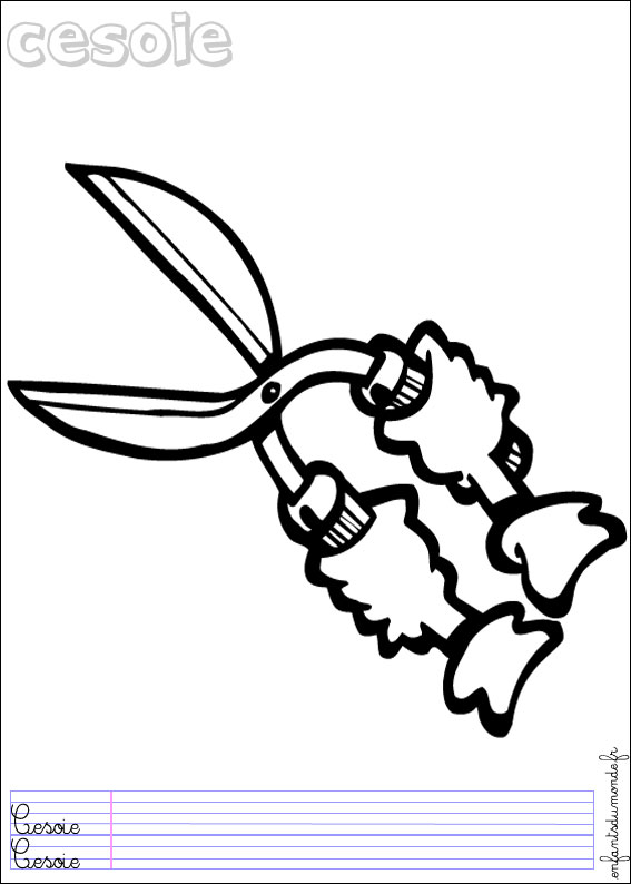 230 coloriage secateur 1