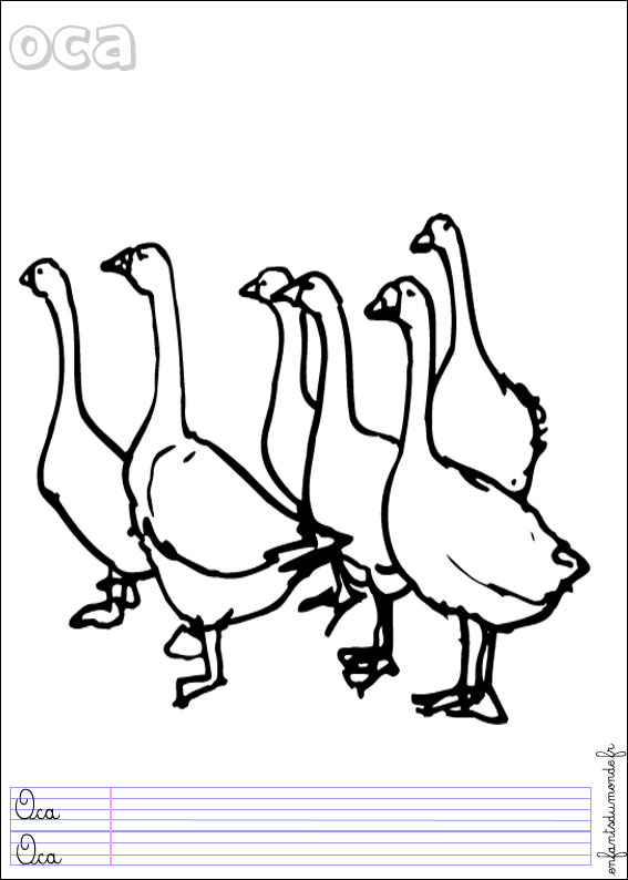 coloriage oie 3