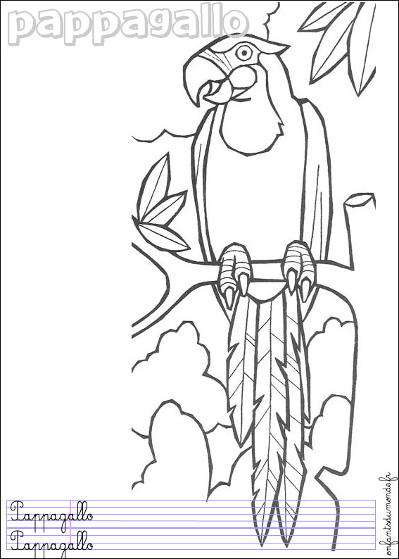 coloriage perroquet 1