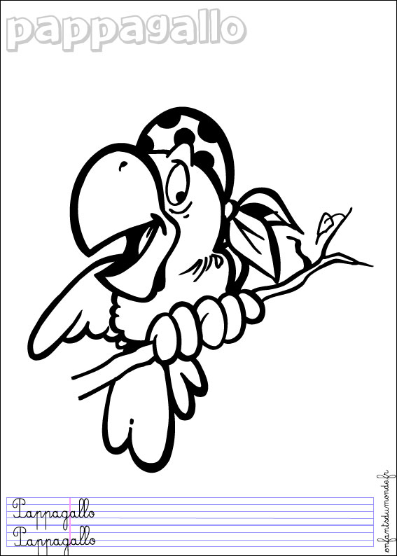 coloriage perroquet 2