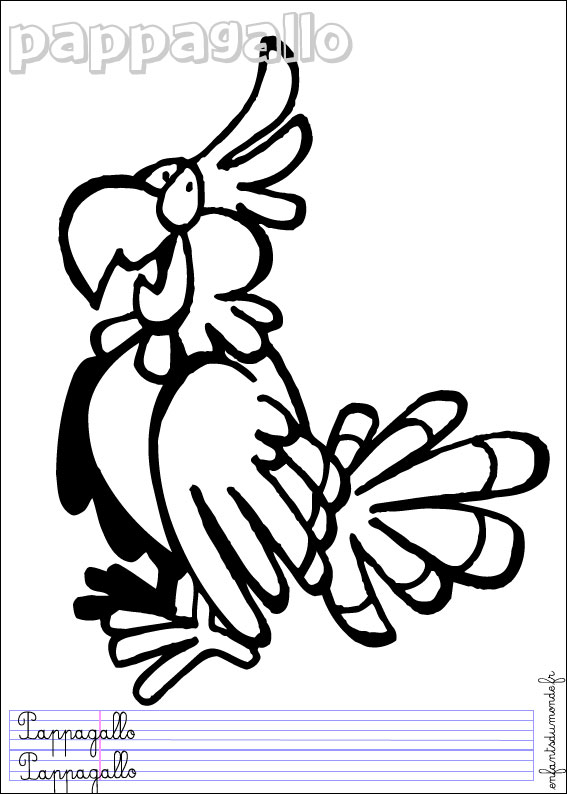coloriage perroquet 3